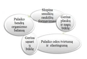 paveiksliukas111111111111