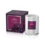 MONTEIL WINTERBERRY SCENTED CANDLE