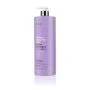 Erayba Abh/ Pilkinantis šampūnas „silver no-yellow shampoo” 1000 ml