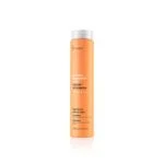 Erayba Abh/ Atstatomasis šampūnas „Repair shampoo“, 250 ml
